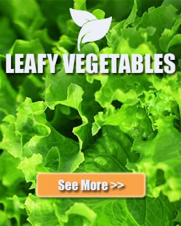 Leafy Vegetable