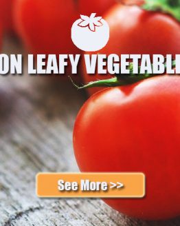 Non Leafy Vegetable