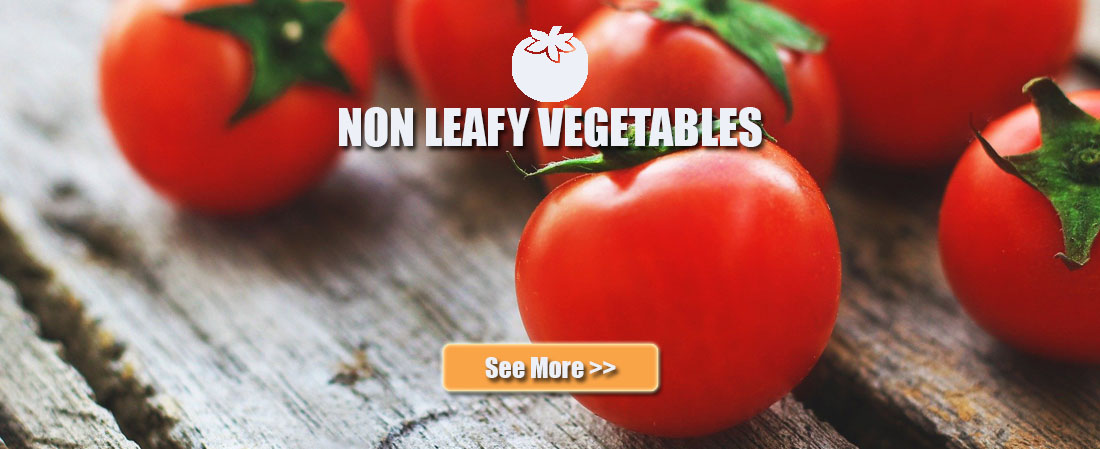 non leafy vegetables, sayuran segar kualitas terbaik, sayuran online jakarta, degarden indonesia