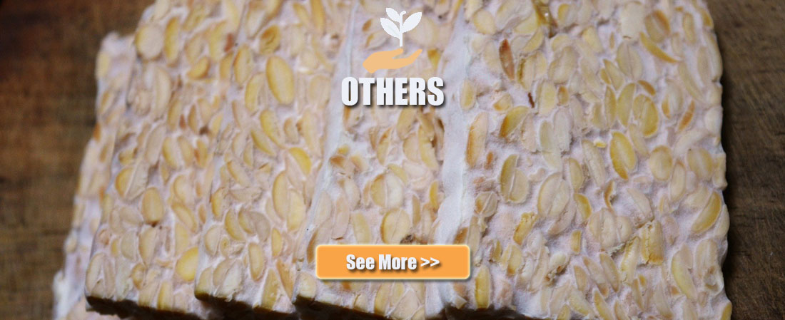 others, sayuran segar kualitas terbaik, sayuran online jakarta, degarden indonesia