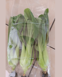 pakcoy organik, sayuran segar kualitas terbaik, sayuran online jakarta, degarden indonesia