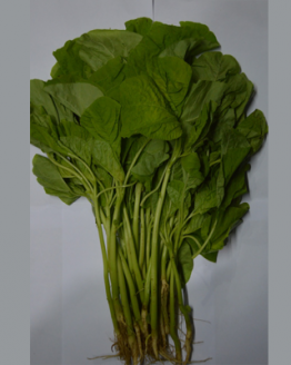 bayam hijau, sayuran segar kualitas terbaik, sayuran online jakarta, degarden indonesia