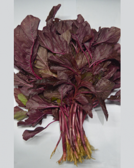 bayam merah, sayuran segar kualitas terbaik, sayuran online jakarta, degarden indonesia