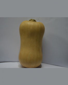 butternut pumpkin, sayuran segar kualitas terbaik, sayuran online jakarta, degarden indonesia