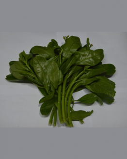 caisim, sayuran segar kualitas terbaik, sayuran online jakarta, degarden indonesia