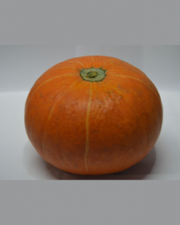 kaboca orange, sayuran segar kualitas terbaik, sayuran online jakarta, degarden indonesia