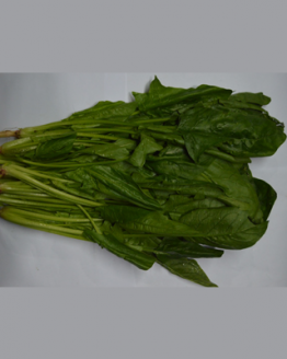 kangkung, sayuran segar kualitas terbaik, sayuran online jakarta, degarden indonesia