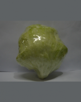 letucce head, sayuran segar kualitas terbaik, sayuran online jakarta, degarden indonesia