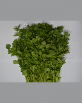 daun seledri, degarden, sayuran online jakarta